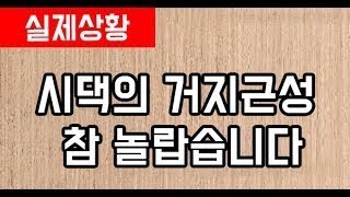 시댁의 거지근성 참 놀랍습니다