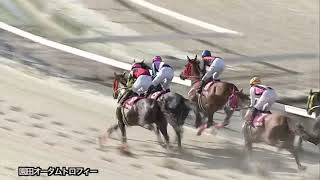 2021/9/9 園田競馬11R 園田オータムトロフィー3歳登録 エイシンビッグボス