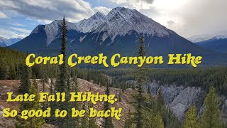 Coral Creek Canyon Hike - Late Fall Hiking