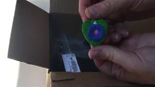 Shapeways Unboxing - 01