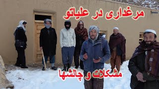 مرغداری در علیاتو چالشها و مشکلات در نقاط دوردست شرایط که مردم دهات با آن مواجه است