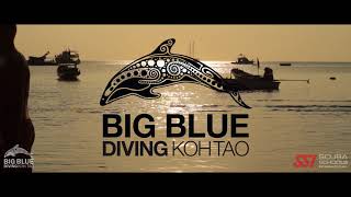 Big Blue Diving, Koh Tao, Thailand | Best Dive Shop on the Island.