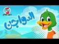 أغنية الدواجن بدون ايقاع | قناة كيوي - Kiwi Tv