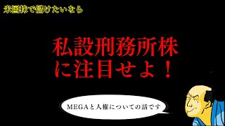 米国株で儲けたかったなら私設刑務所株に注目せよ！（MEGAと人権についての話です）