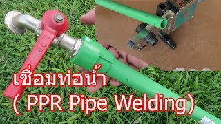 การต่อท่อน้ำด้วยความร้อน  (PPR Pipe)