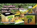 Cara Aplikasi Power Nutrition, untuk perangsang buah