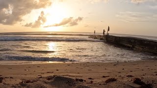 A Day In Caribbean Paradise! - Tobago 4K