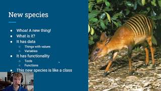 Processing Intro- Lesson 10 Classes and Object Oriented Programming