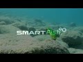 The Ultimate SmartFish Rock Walk