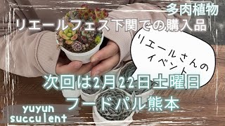 【多肉植物】海峡メッセ下関での購入品と会場の様子です。