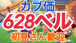 【あつ森】ライブ参加型　カブ628ベルや買い島　かぶ手数料なし