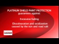 platinum shield protection paint protection