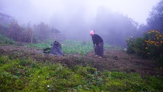 life in rural Nepal || village life @Ritarojan