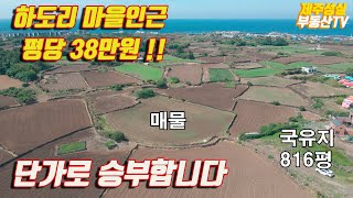 3억3천으로조정.하도리 마을인근 평당 38만원! 단가로 승부합니다 (제주도 부동산)