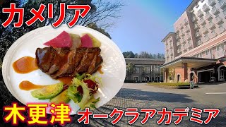 木更津の山中で優雅なコースランチ オークラアカデミアパークホテル 洋食レストラン「カメリア」　千葉　グルメ　近隣 銭湯 温泉 P泊情報　袖ケ浦さつき台病院　人間ドック　検診　サービス食事券