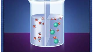 McG-H - How Osmosis Works