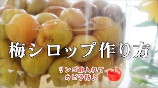 梅シロップの作り方/リンゴ酢入りでさっぱりとした味わい/カビにくい初心者向けのレシピ