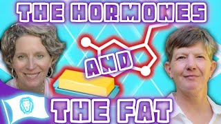 Dr Bright on Fat, Butter, and Hormones #carnivore #animalbased #lowcarb