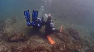 スキューバダイビングのレスキュー講習水中意識不明ダイバーを水面へ引き上げる｜和歌山県田辺市