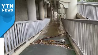 잠시 멈춘 집중호우...제보 영상으로 본 수도권 곳곳 / YTN