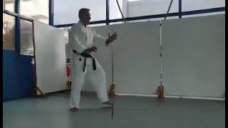 Aikido Movements, Tai (or Ashi) Sabaki, Kaiten 1