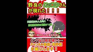 プラチナ帯で会える最も身近なApex解説者ロッコクさんが現れた！！