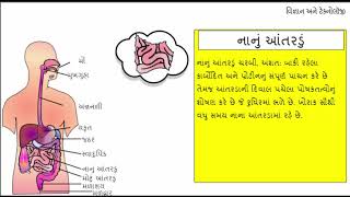 પાચનતંત્ર || Digestive || Science