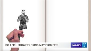 Do April showers actually bring May flowers?