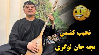 بچه جان لوگری - نجیب کشمی  |  Najeeb Keshmi - Bacha Jan Logari 2024