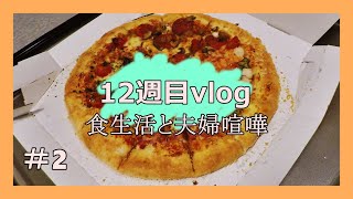 【Vlog】＃ ２　妊娠12週目/初めてのエコー健診/夫婦ケンカ/妊娠初期