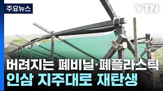 버려지는 폐비닐·폐플라스틱, 인삼 지주대로 재탄생 / YTN