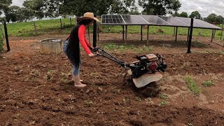 VIDA NA ROÇA 🍃 ARANDO A TERRA COM MICRO TRATOR