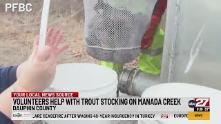 Volunteers help with trout stocking on Manada Creek