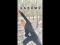 八极加劈挂完整版 八极拳