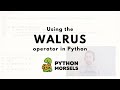 Python's walrus operator