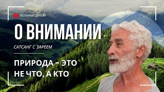 О внимании | Сатсанг с Зареем