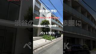 #表参道 ＃明治神宮前駅 #賃貸 #ルームツアー #デザイナーズ #内見動画