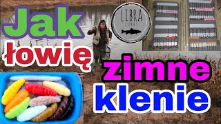 Jak łowić zimne klenie | styczniowe klenie na spinning #LibraLures #kleń