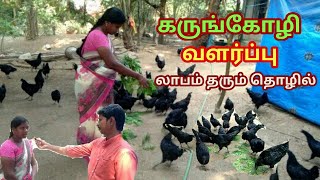 கருங்கோழி வளர்ப்பு முறை// Ebony breeding method in tamil//block poultry farm//karunkozhi//business