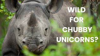 WILD for RHINOS? Meet these Chubby Unicorns - The Unsung Heroes of Nature #rhinnobaby