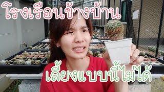 EP.19 โรงเรือนข้างบ้าน เลี้ยงแคคตัสแบบไหนไม่ดี