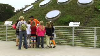 Living Roof, California Academy of Sciences, SWA Group