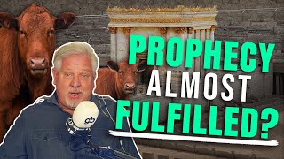 How Israel’s Red Heifer Prophecy Explains What's Happening Right Now
