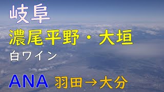 岐阜市・大垣市上空・プレミアムクラス白ワイン／ANA791羽田空港→大分空港