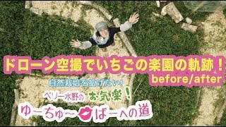 ドローン空撮でいちごの楽園の軌跡！before/after