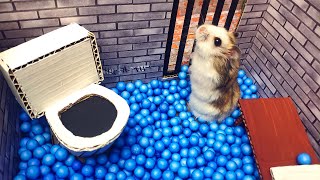 🐹🦂Scorpion maze with Traps hamster Police Pets 🐹 in Hamster stories