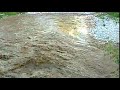 a rare footage of flash flood caught on camera