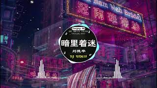 🎧全中文DJ舞曲夜店混音舞曲串烧 2024 🎼 酒吧最火DJ舞曲 🔥 Chinese DJ remix 👍 Hot Tiktok Douyin Dj 抖音版2024