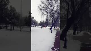 بازم برف بازم برف 😍☃️❄🌂 mohsen ebrahimzade