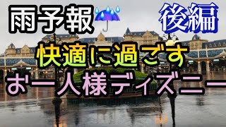 雨のディズニー！行かないのは勿体無い‼︎雨でも楽しむディズニーランド‼︎